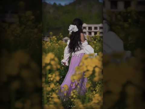 Janana Yam Darta Majbura Slowed PASHTO Song Best Lyrics By PASHTO SONG