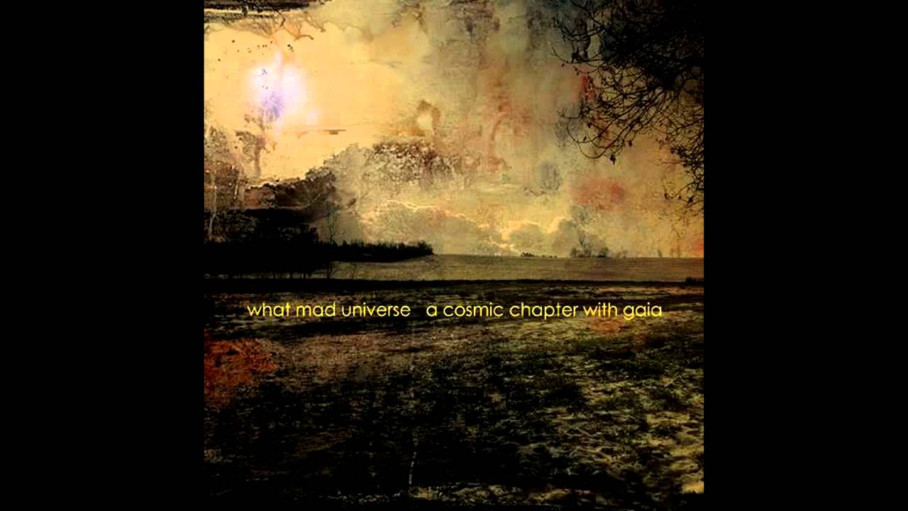 What Mad Universe - And The Sun's Still Silent (2010, Apathia Records)