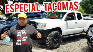Toyota Tacoma The Best Trucks for Sale at a Car Fair 4x4 Trucks for Sale Toyota Tacoma The Best Trucks for Sale at a Car Fair 4x4 Trucks for Sale