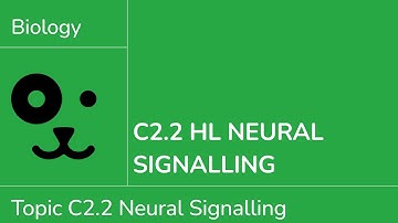C2.2 HL Neural Signalling [IB Biology HL]