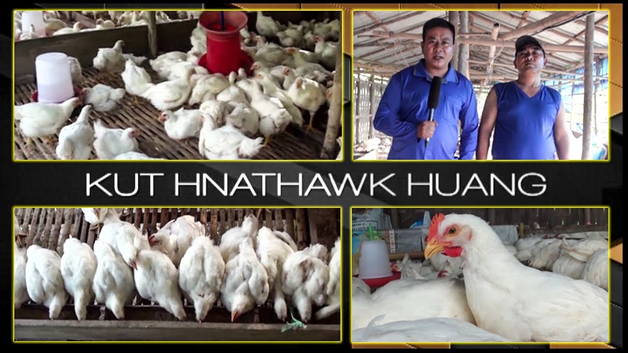 (LPS Kut Hnathawk Huang) Sateek Poultry Farm (Ar vulhna hmunpui Sateek)