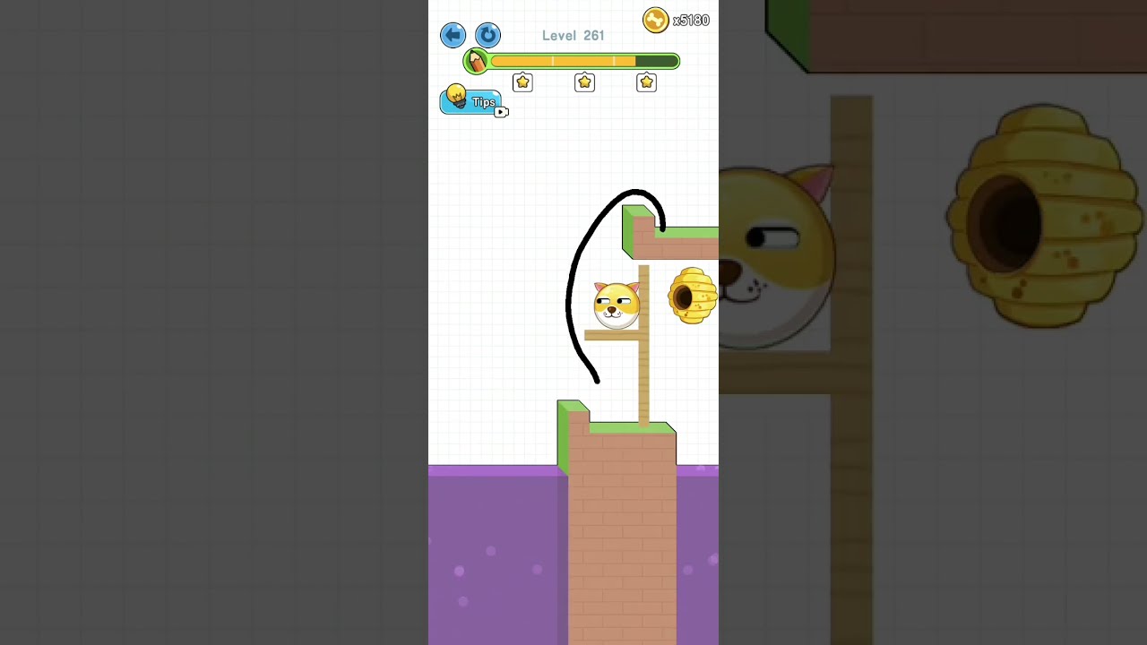 Save The Doge Levels 261 Animals Walkthrough For Answers Solutions Savethedoge 