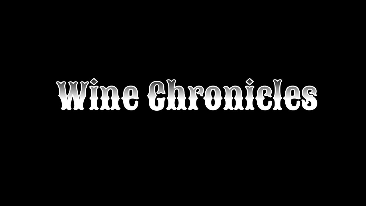 1 Of Wine Chronicles Back Alley Wine Bar YouTube