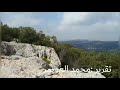 عجلون غابات برقش جمال الطبيعة وسحر المكان تقرير محمد العويمر 