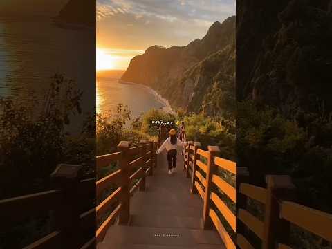 Zaalima Lyrics Slowed Reverb EFX Sound Shorts Viral Trending 