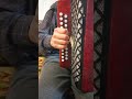 Куда бежишь тропинка милая  Гармонь Чайка