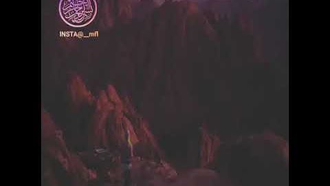 سورة التين تلاوة خاشعة