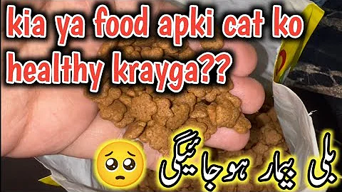 Watch the video about Kia Is Dry Cat Food sa apki Cat Healthy hogi🙄Meo Dry Cat Food Review🔥Meo Cat Food Reality 🔥