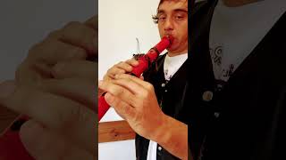 Flauta Nativa modo1 Sol4 440hz 🙏🌈 #naf #flute