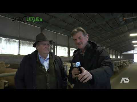 AGRICULTURA VENETA  | 20/02/2022 20:02