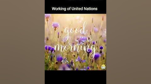 Class V (Social Studies) Chapter No. 16 "Working of United Nations" (Attachment in description box)