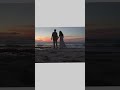 Edius 11 Reels Project File Free Download #tigerfilmbeawer #shot