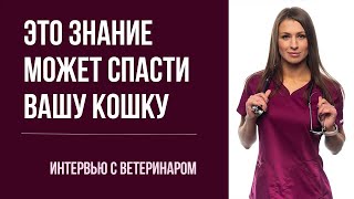 О Кошачьей Чумке, Вирусах И Лучших Вакцинах | Топ-50 Вопросов Врачу Инфекционисту Питера