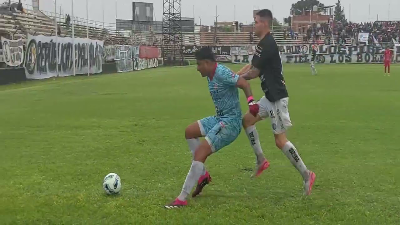 𝘾𝙇𝘼𝙎𝙄𝙁𝙄𝘾𝘼𝘾𝙄𝙊́𝙉 𝘿𝙀 𝙋𝙀𝙇𝙄𝘾𝙐𝙇𝘼