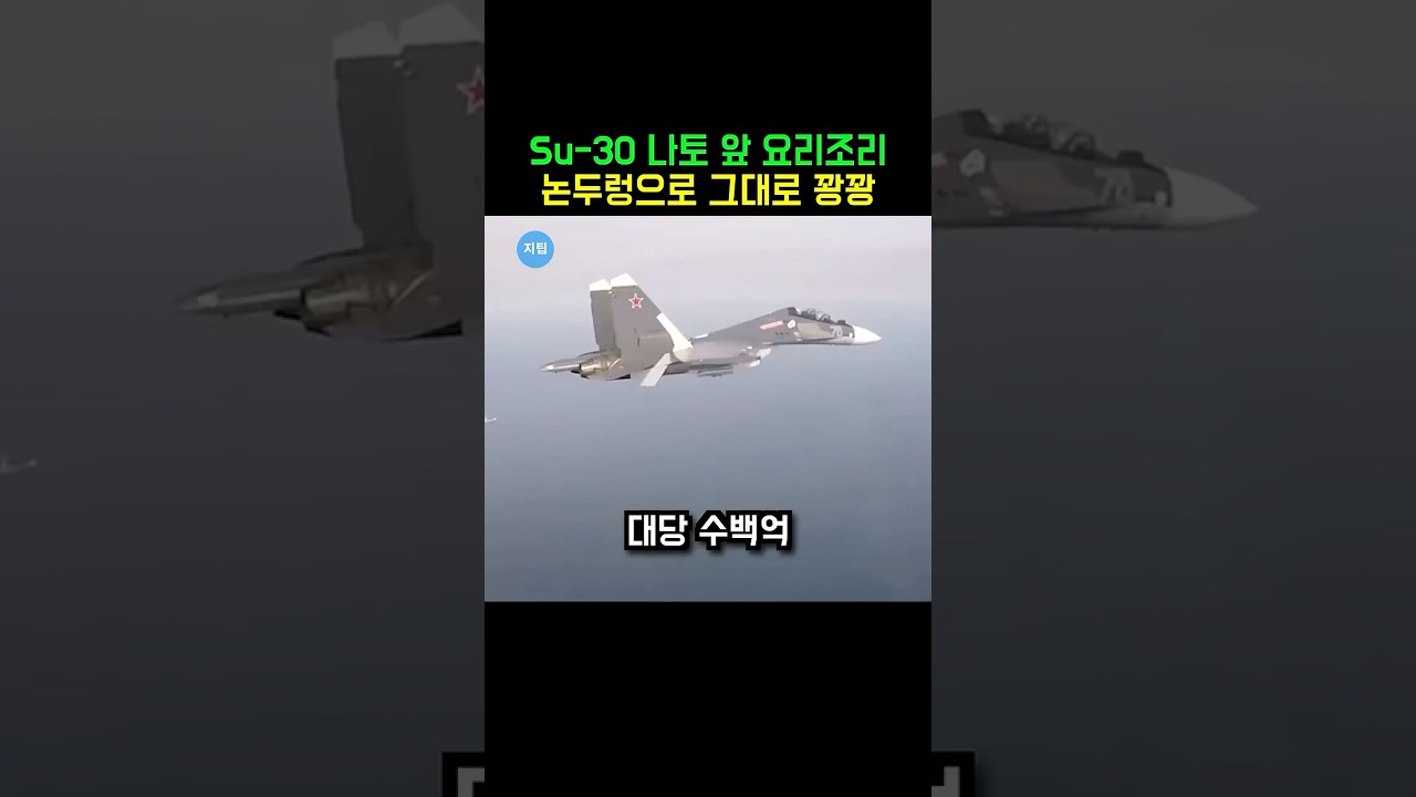 미사일도 안 쐈는데  Su-30 추락? 러시아 공군이 숨기고 있는 진실 #Su30 #전투기 #군사뉴스 #shorts
