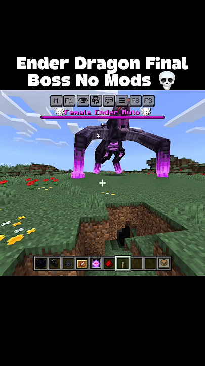 Minecraft Ender Dragon Final Boss 💀 #minecraft #shorts #gaming