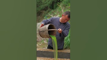 How to Make Paper from Bamboo