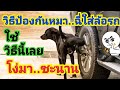 วิธีป้องกันหมาฉี่ใส่ล้อรถด้วยวิธี"ง่าย ๆ"🐕🐕How to prevent dogs peeing on wheels