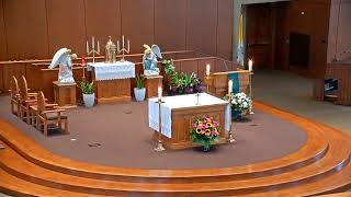 Daily Mass - Tuesday
