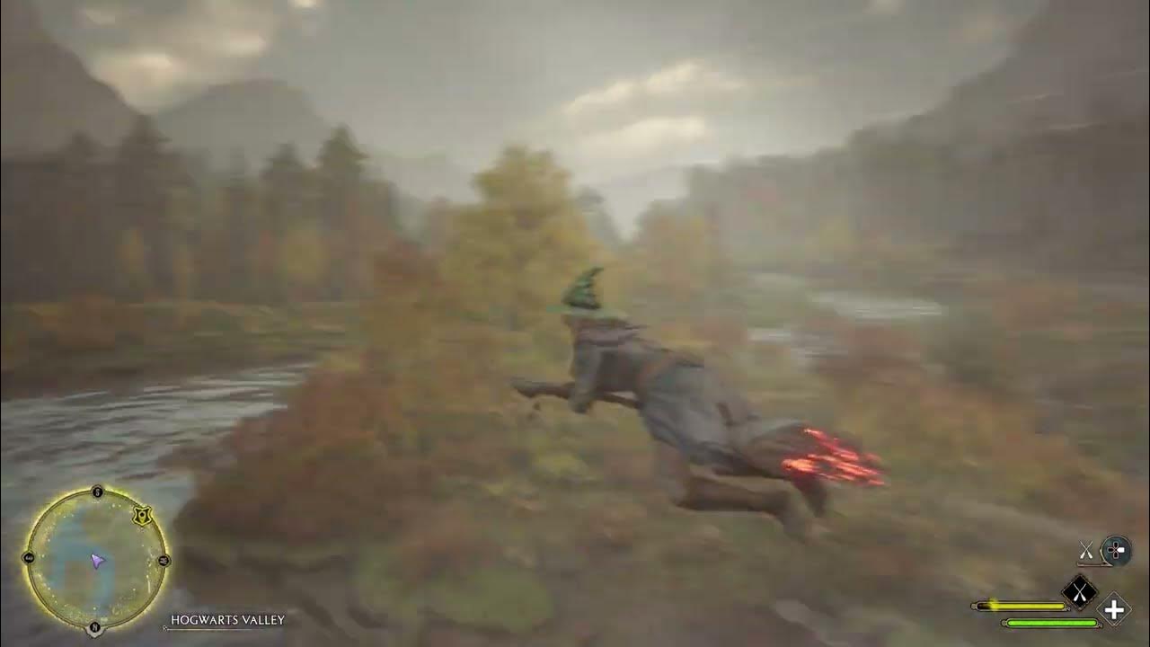 Hogwarts Legacy Catch Niffler for Release Into Vivarium YouTube