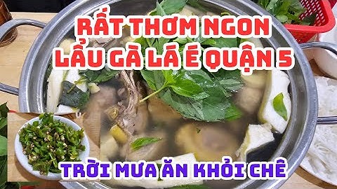 SÀI GÒN: RẤT THƠM NGON Lẩu gà lá é quận 5, ĐÔNG VUI, Trời mưa ăn khỏi chê