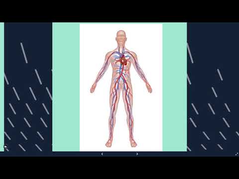 Porque seu corpo