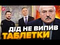 💩Лукашенко ПРИНИЗИВ ЗЕЛЕНСЬКОГО і ВСЮ ПОЛЬЩУ / Знову хоче нас посварити !