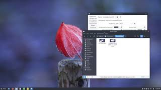 Wasta-Linux 18.04 DockbarX Overview