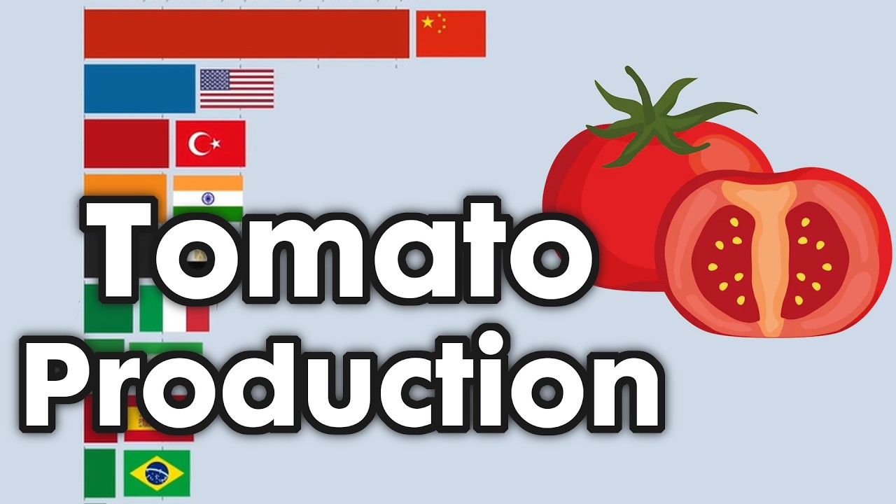 Top Tomato Producing Country 1960 - 2026