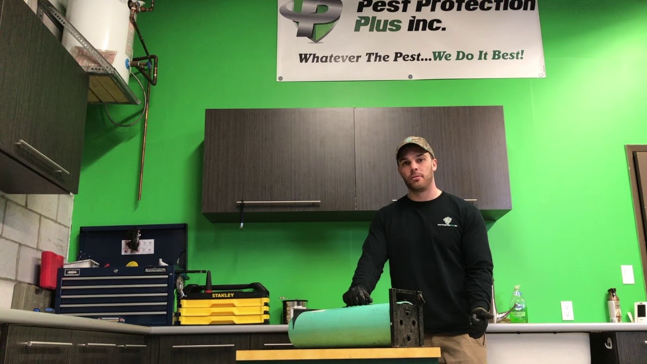 How Spray Proof Skunk Traps Work