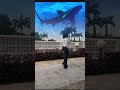 Shark in the sky Effect… kindly watch the magic
