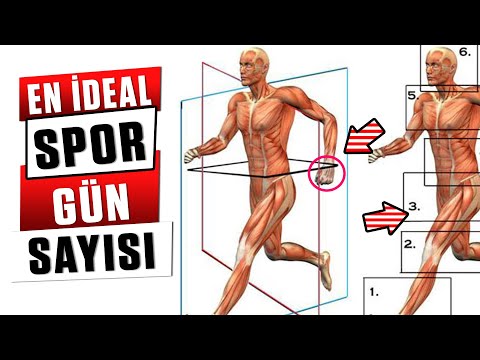 Video: Bir Spor Günü Nasıl Organize Edilir