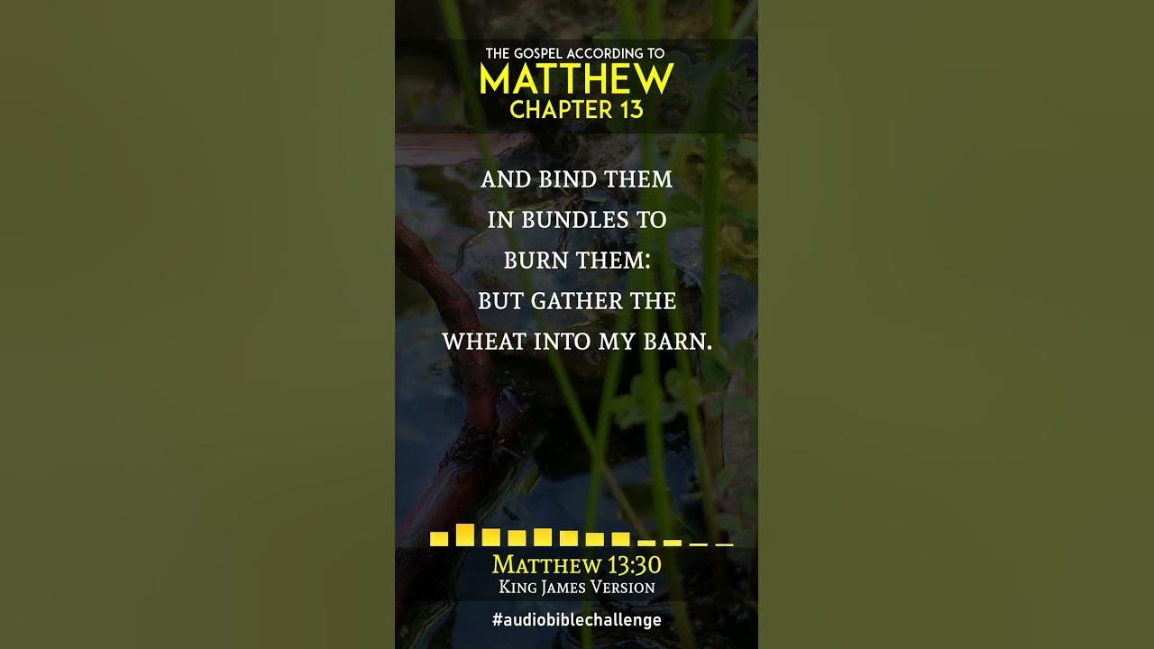 matthew-13-verse-29-32-kingdom-legacy-family-bible-shorts-read-by
