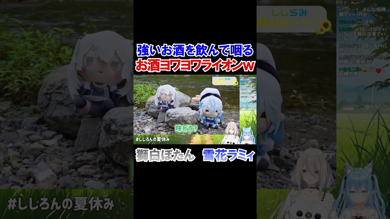 度数の高いお酒を飲んでケホッてしまうお酒ヨワヨワライオンｗ【獅白ぼたん/雪花ラミィ/ホロライブ切り抜き】#shorts