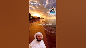 الآية(14) من سورة آل عمران، بصوت القارئ الشيخ سعد الغامدي.
