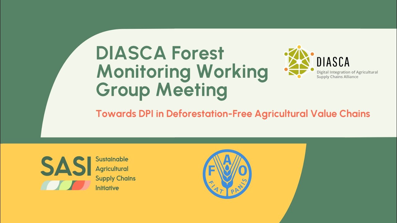 DIASCA Forest Monitoring Working Group Meeting