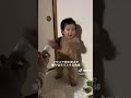 笑点でイヤイヤ期を乗り越える夫婦