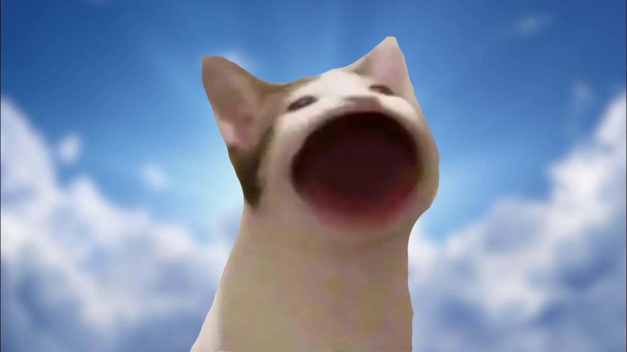 Не на мою