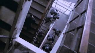 『ザ・レイド』予告編2