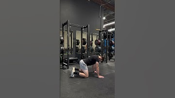Quadruped Neck Segmental Flexion-Extension