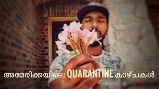 Quarantine Vlogs Mallu In America Lifestyle
