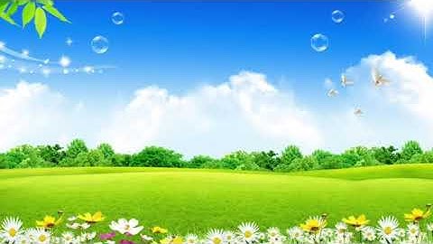 آيات من الذكر الحكيم