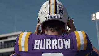 2019 LSU Tiger Season