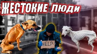 ПРИШЛОСЬ ПОПРАШАЙНИЧАТЬ что-бы накормить животных в приюте