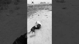 Bhandara 💀😢 | Mini Vlog #shorts #minivlog #ashortaday #vlog #tranding #cats #cat