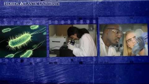 (Lab.EES) Laboratories for Engineered Environmental Solutions