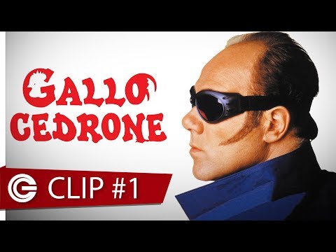 Gallo Cedrone - Comizio