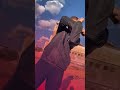 نزل ايدك يا شاويش