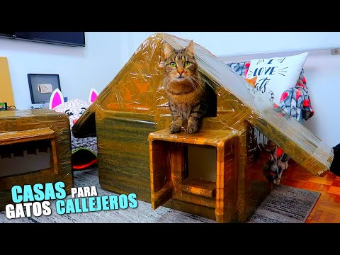 Video: Cómo Hacer Una Casa Para Un Gato Callejero