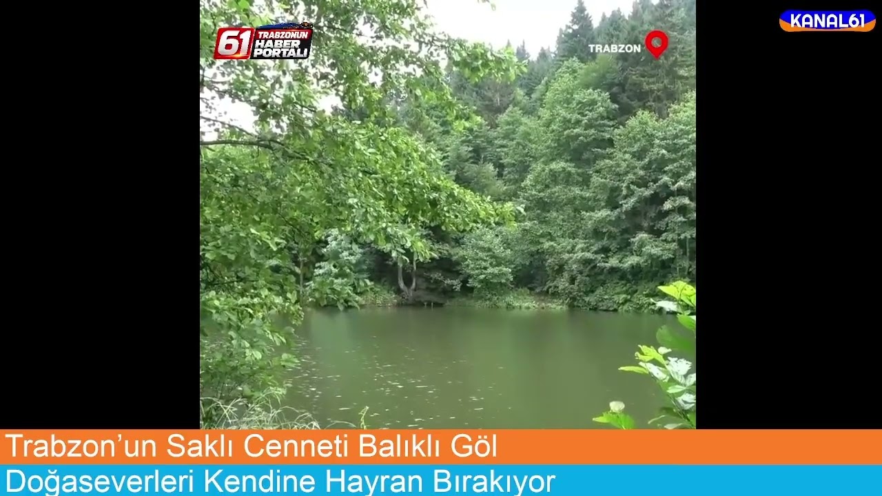 ANASAYFA VİDEO